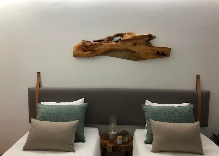 Braancamp 65 بورتو