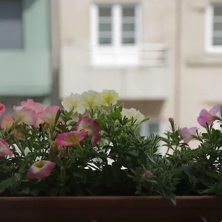 Braancamp 65 Appartement *